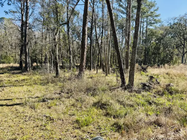 701 Clarks Bluff Road, Kingsland, GA 31548