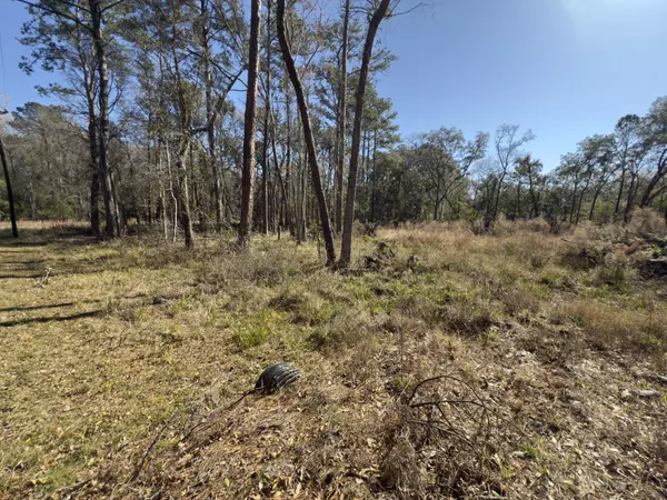 701 Clarks Bluff Road, Kingsland, GA 31548