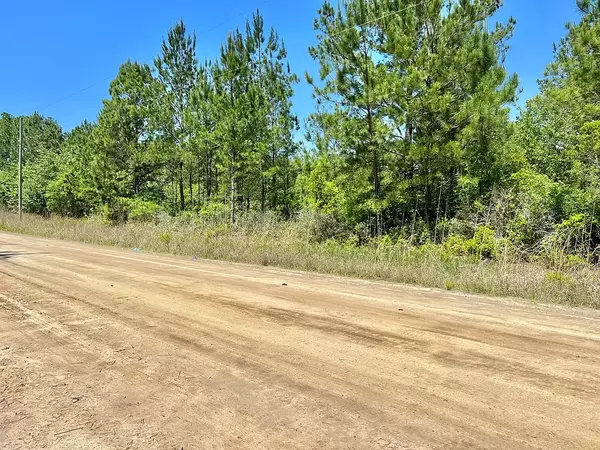 Willcox Rd, Waycross, GA 31503