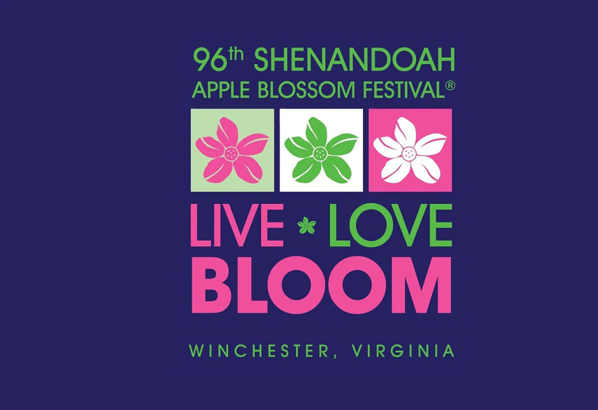 Festival Info Magazine
