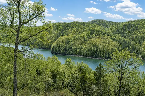 1089 Cornerstone Pkwy, Allons, TN 38541