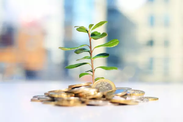 Your Savings and Down Payment