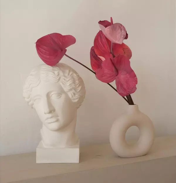 pexels-reggie-pankova-145490218-11058858