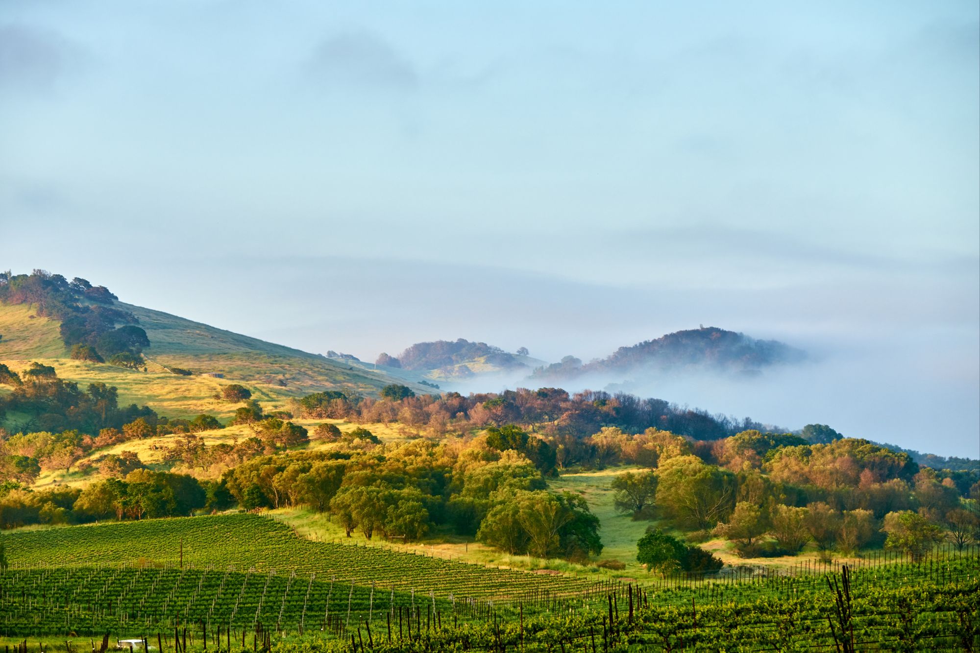 Sonoma, CA
