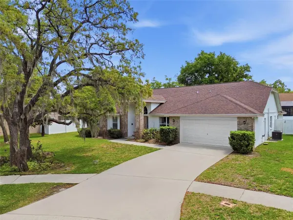 2305 MARSEILLE CT, Valrico, FL 33596