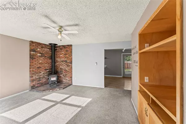 990 N Park DR, Woodland Park, CO 80863