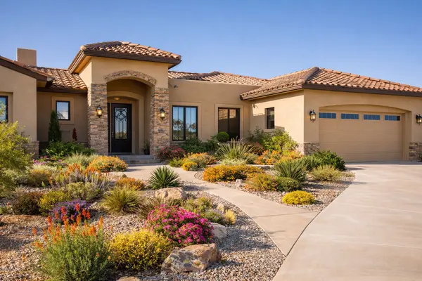 Summer Curb Appeal: Keeping Your Desert Oasis Vibrant