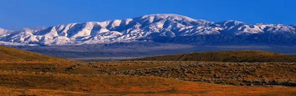 Why Choosing a Local Antelope Valley Realtor Matters More Than Ever