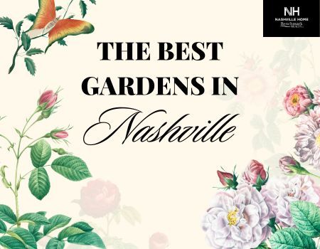Explore the Best Nashville, TN Gardens 2024