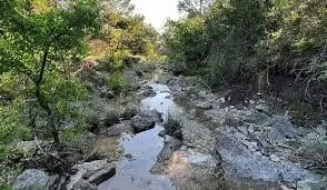 Best Parks and Walking Trails in Williamson County,Jon Sexton