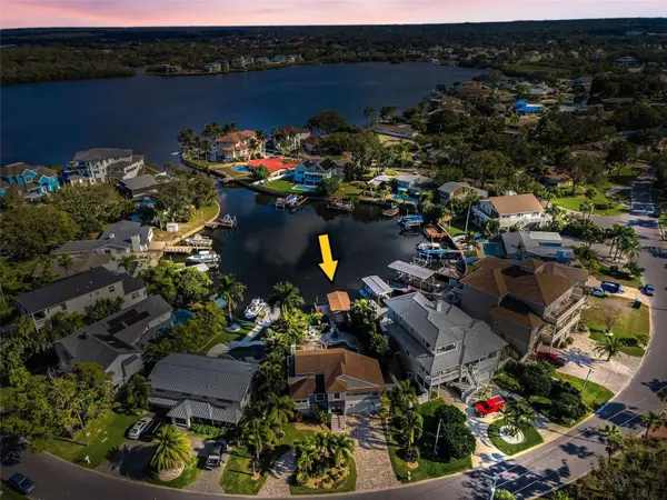 110 CARLYLE CIR, Palm Harbor, FL 34683