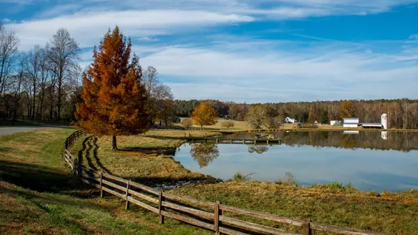 Living in Charlotte NC: One Street, Two Worlds—The Strategic Reality of Charlotte’s West Side