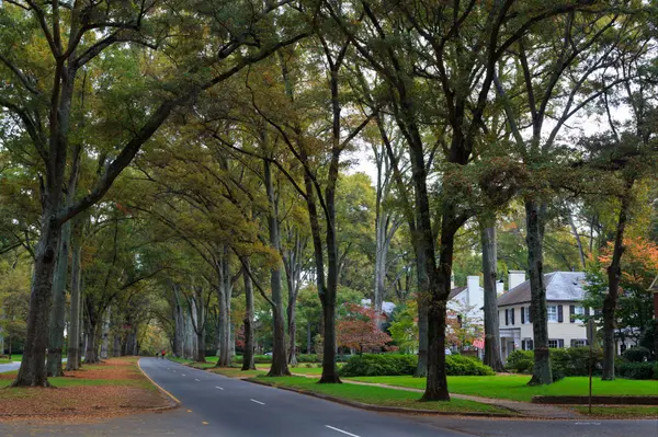 Living in Charlotte NC: Why the Queen City’s National Spotlight is a Double-Edged Sword for Families,Joseph McIntosh