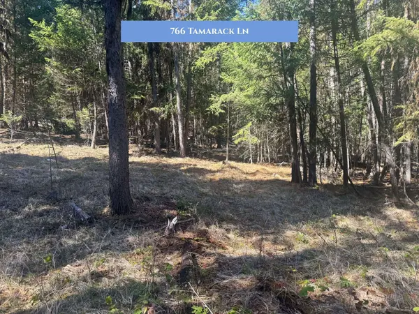 766 and 854 Tamarack LN, Rexford, MT 59930
