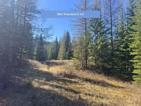 854 Tamarack LN, Rexford, MT 59930
