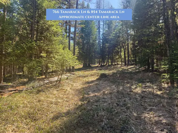 766 Tamarack LN, Rexford, MT 59930
