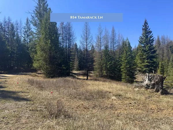 854 Tamarack LN, Rexford, MT 59930