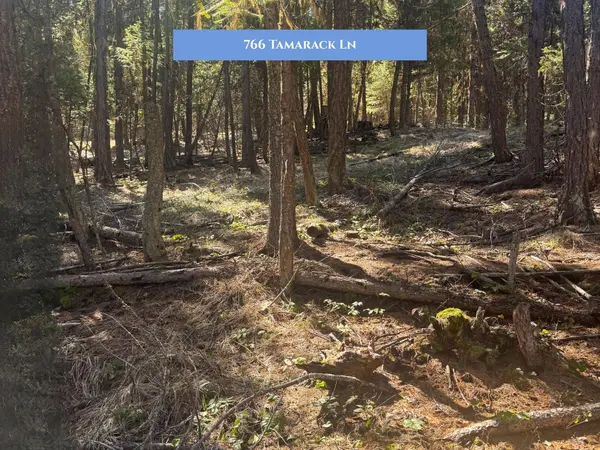 766 and 854 Tamarack LN, Rexford, MT 59930