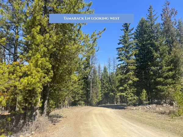 854 Tamarack LN, Rexford, MT 59930