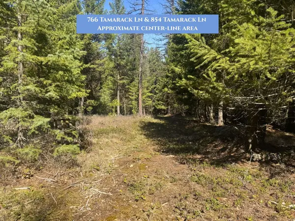 766 Tamarack LN, Rexford, MT 59930