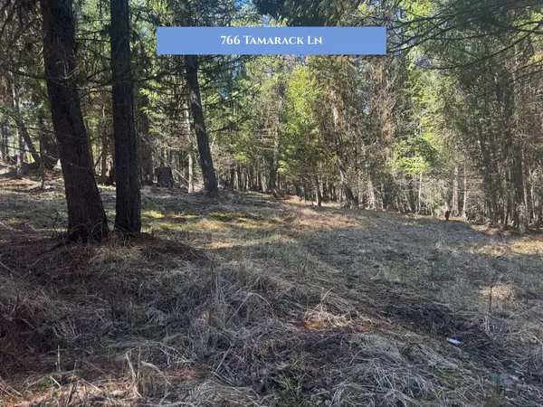 766 Tamarack LN, Rexford, MT 59930