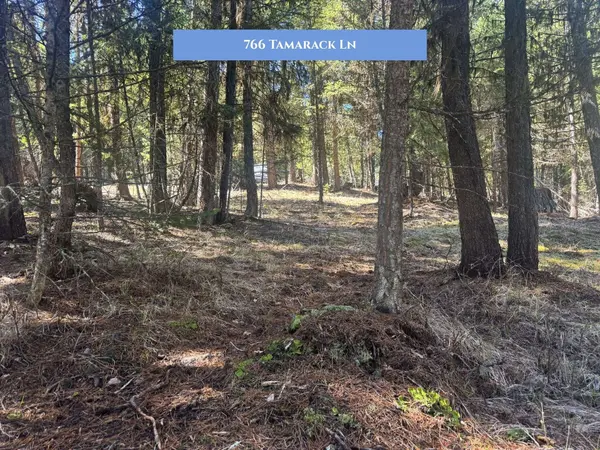 766 and 854 Tamarack LN, Rexford, MT 59930