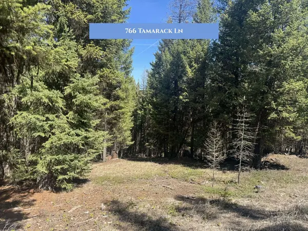 766 and 854 Tamarack LN, Rexford, MT 59930