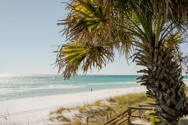 What Should I Know Before Buying a Condo in Destin, Florida?