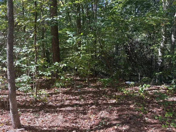 0 Dorsett Shoals Road RD, Douglasville, GA 30135