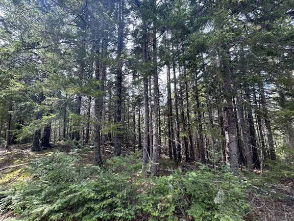 Lot 4 North Shore RD, Lubec, ME 04631
