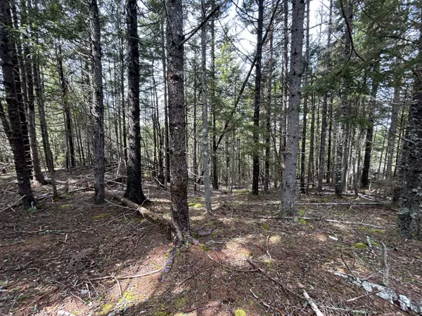 Lot 4 North Shore RD, Lubec, ME 04631