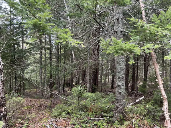 Lot 4 North Shore RD, Lubec, ME 04631