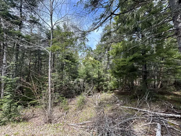 Lot 4 North Shore RD, Lubec, ME 04631