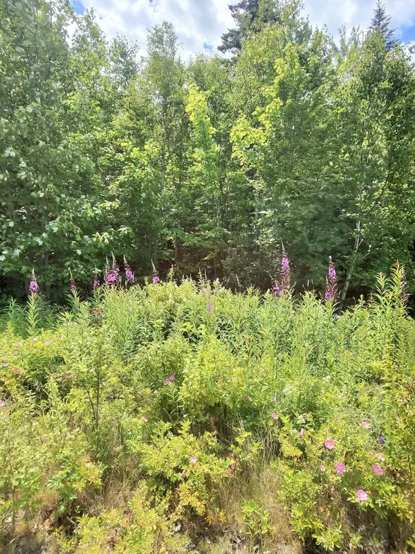 1 Sunset DR, Eastport, ME 04631