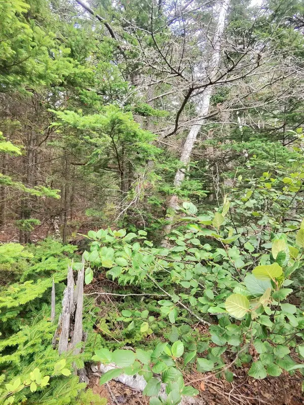 1 Sunset DR, Eastport, ME 04631