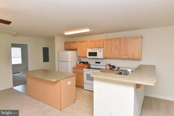 1306 CAITLINS WAY, Millsboro, DE 19966