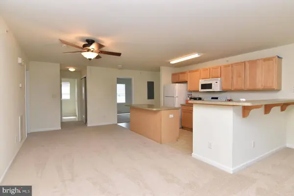 1306 CAITLINS WAY, Millsboro, DE 19966