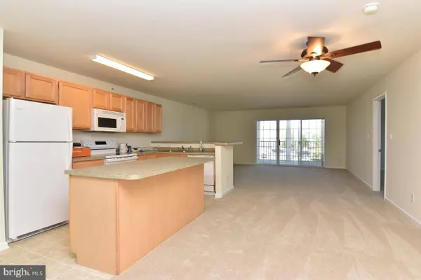 1306 CAITLINS WAY, Millsboro, DE 19966