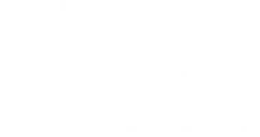 Real Estate Professionals