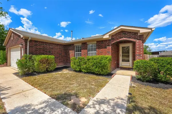 113 Mason Reed CV