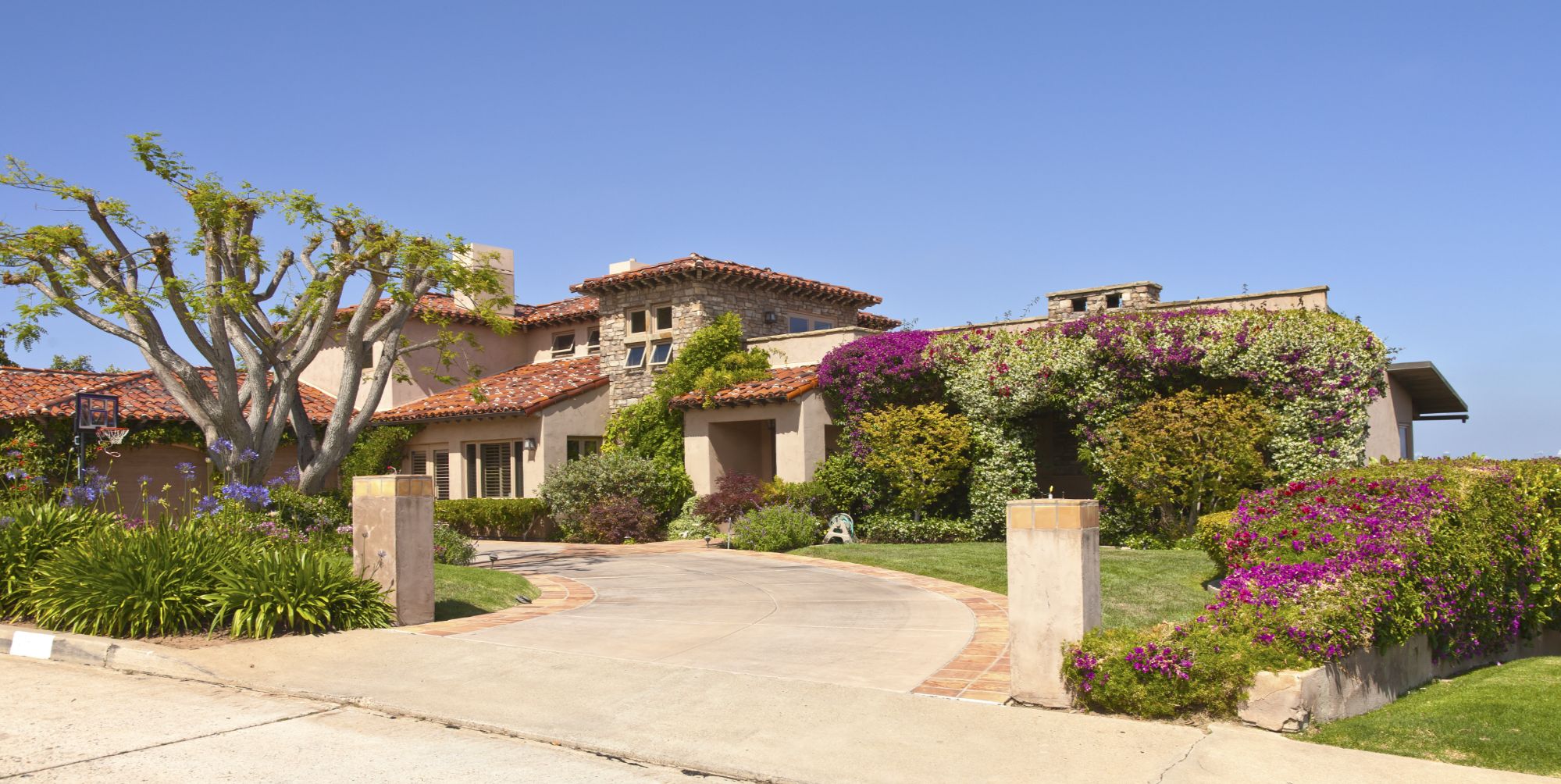 Home Search