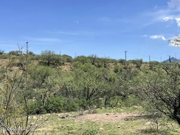 286 Ciuta Corte #87, Rio Rico, AZ 85648