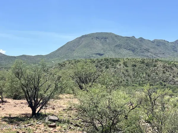 286 Ciuta Corte #87, Rio Rico, AZ 85648