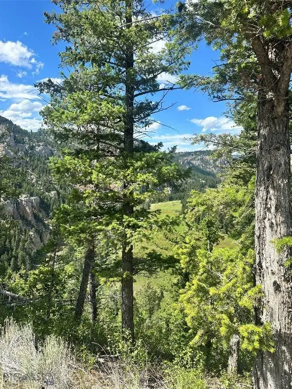 nhn Castle Bar Rd, White  Sulphur  Springs, MT 59645