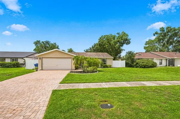 5309 BLACK PINE DR