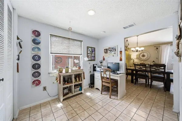 5309 BLACK PINE DR, Tampa, FL 33624