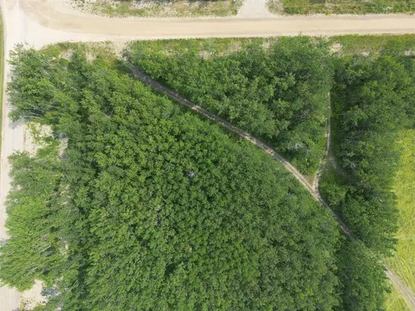 1 Kopp DR, Turtle Lake, SK S0M2Y0