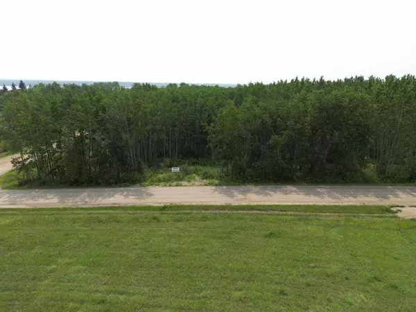 1 Kopp DR, Turtle Lake, SK S0M2Y0