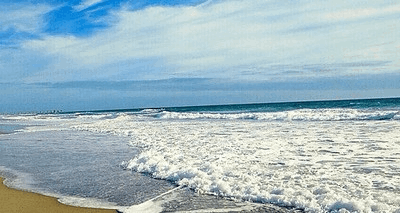 Ocean Shoreline