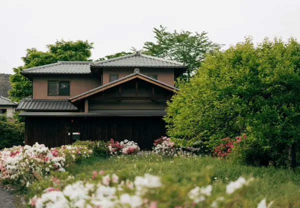 House with garden in spring
